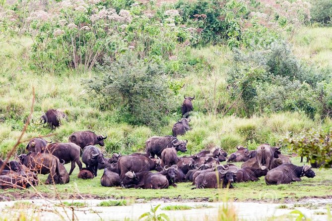 8 Days Budget Camping Tanzania