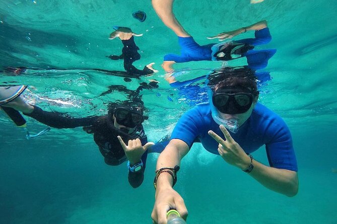 8 Days Galapagos Experiences Santa Cruz and San Cristobal - Pricing and Booking Information