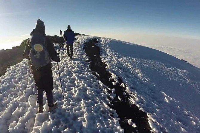 8 Days Mount Kilimanjaro Lemosho Route Climb - Day 3: Shira 1 Camp to Shira 2 Camp