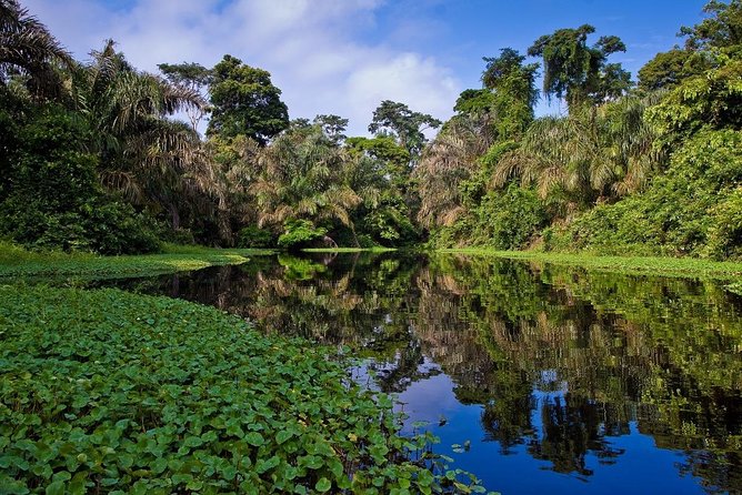8 Days Supersaver | Costa Rica Essentials Plus From San Jose - Frequently Asked Questions