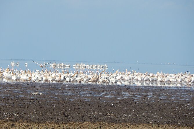 8 Days Tanzania Cultural Experience - Dining Experiences
