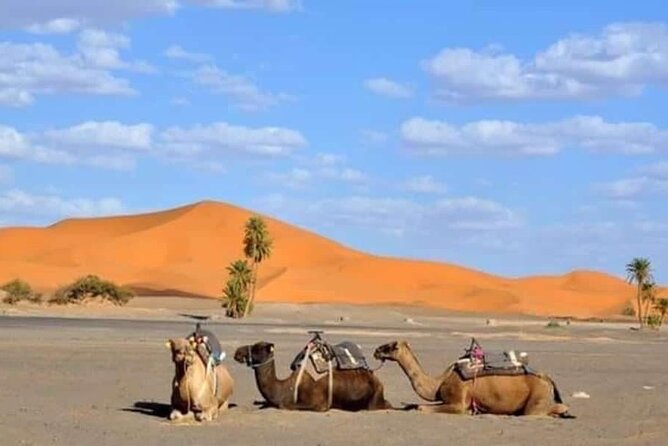 8 Days Trekking in the Moroccan Desert From Marrakech
