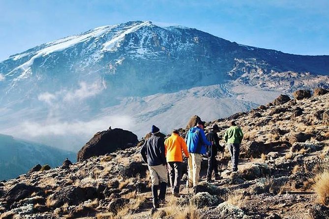 9-Day Lemosho Route to Kilimanjaro From Arusha and Crater Camp - Excluded Costs