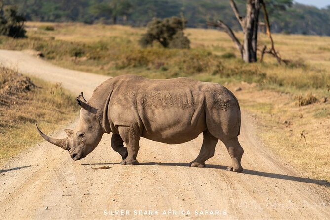 9 Day Mgahinga Gorilla Trek Mara Lake Nakuru & Naivasha Park - Pricing Details