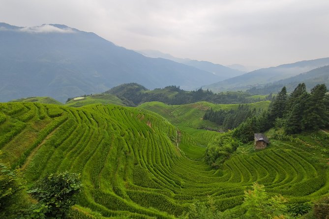 9-Day Private Self-Guided Tour of Guizhou & Chongqing From Guilin - Sightseeing Activities