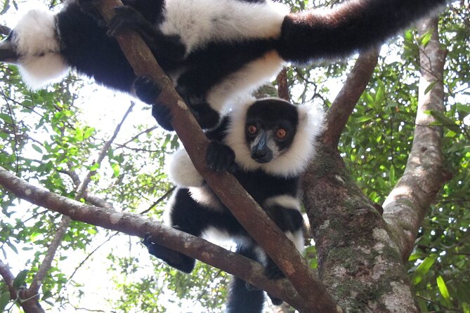 9 Days East of Madagascar Tour - Cancellation Policy