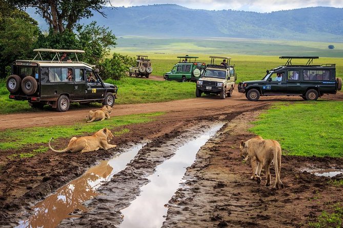 9 Days Kenya Tanzania Safari - Inclusions and Exclusions