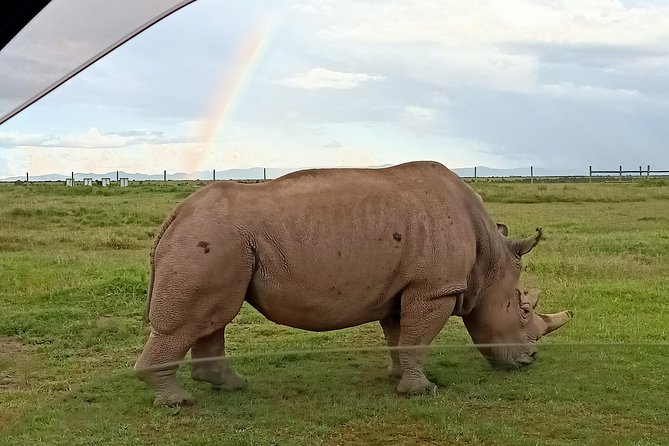 9 Days Rhino Safari - Pricing and Booking