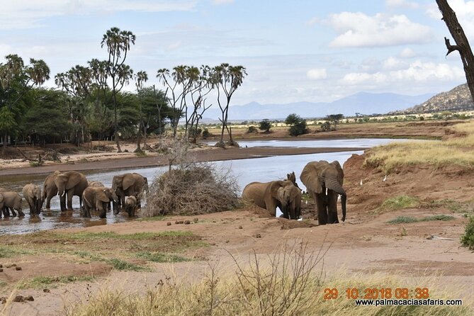 9-Days Safari Choroa Private Tour in Kenya - Safari Activities
