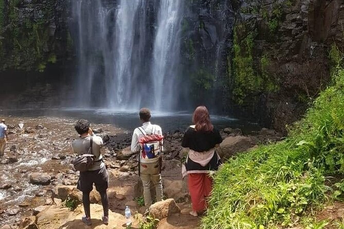A Day Trip To Materuni Waterfalls