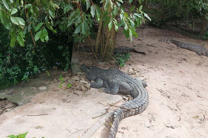 A Day Trip To Phnom Chisor - Tonle Batti From Phnom Penh - Additional Important Information