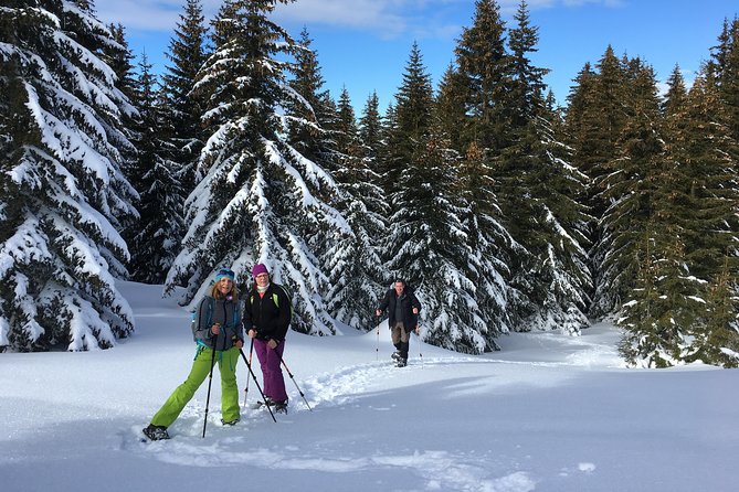 A Snowshoeing Day in Vitosha Mountains - Certified Mountain Guides Fee, All Fees and Taxes