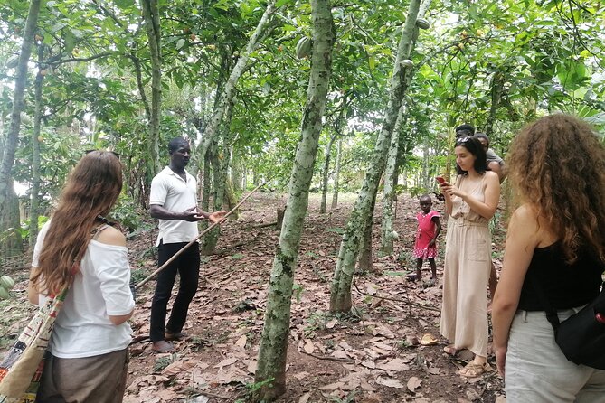 Aburi Botanical Gardens and Cocoa Farm – Private Tour