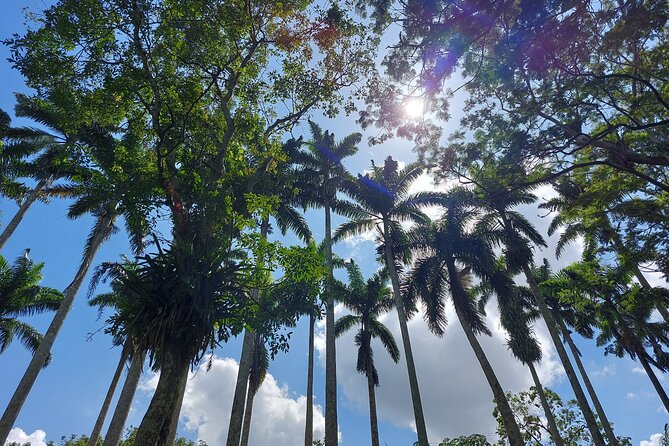 Aburi Gardens & Cocoa Tours - Tour Operator