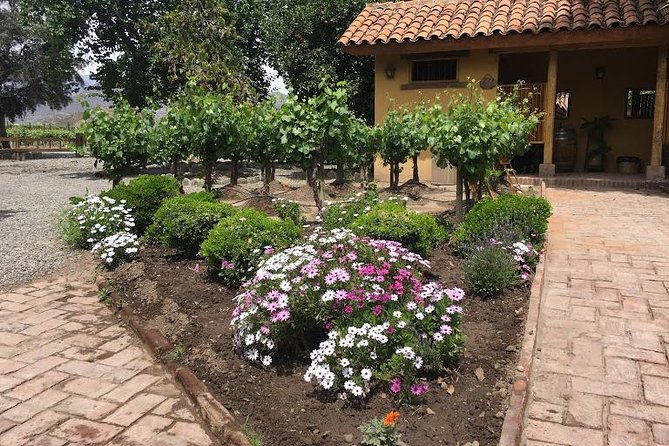 Aconcagua Valley - Pickup and Confirmation Details