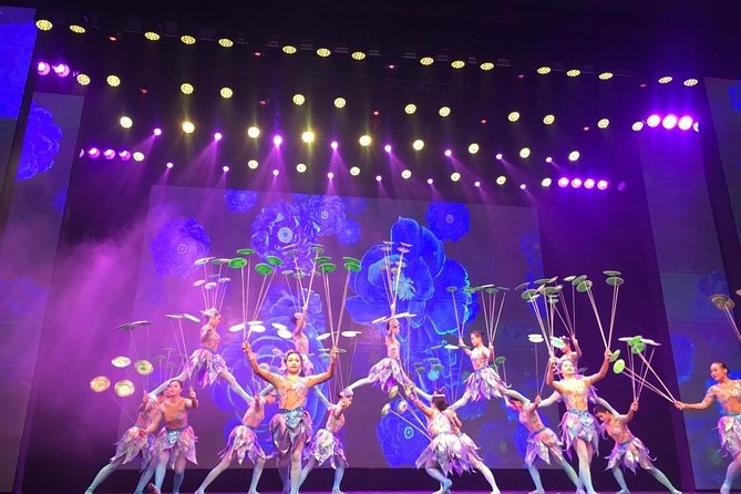 Acrobatics Show With Private Driver Service and Hotel Round Transfer - Contact and Support
