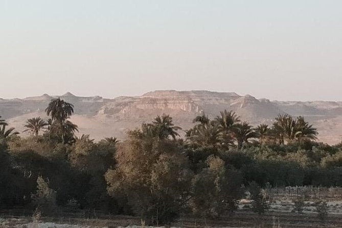 Adventure Day to Jebel Qatrani Open Air Museum - Beverage Selection Provided