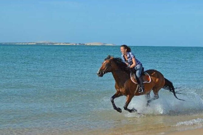 ADVENTURE SAFARI BY HORSE IN Hurghada Duiring Sunset Or Sunrise - Price Details