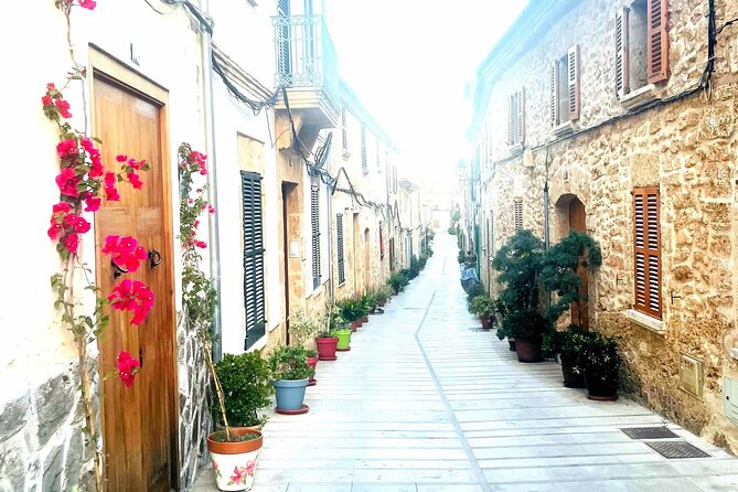 Adventuredate, Palma, Santa Catalina, Tour With Fun Activities in German Language - Inclusions and Exclusions