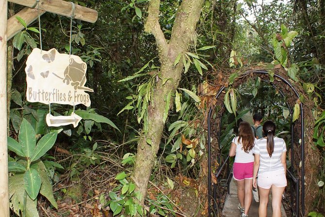 Aerial Tram in Braulio Carrillo National Park From San José - Directions for Tour Departure