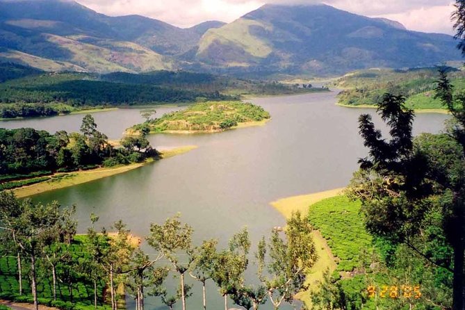 Affordable Transfer From Kochi to Munnar