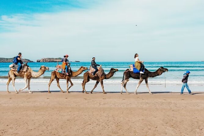 Agadir Camel Ride Experience With BBQ Include - Dietary Accommodations