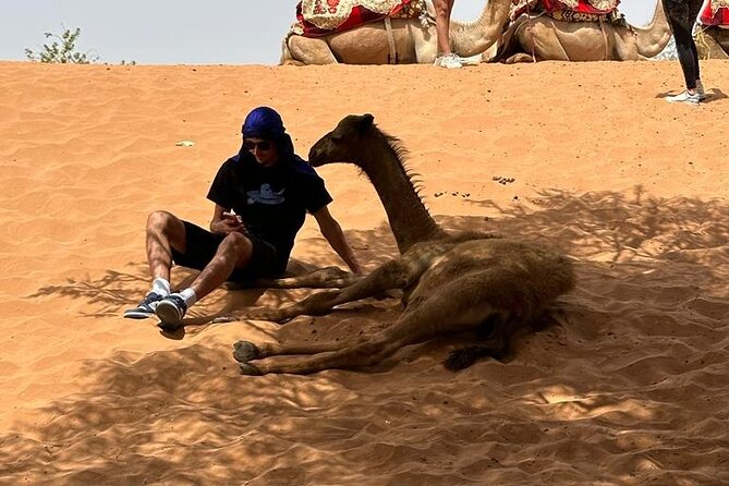 Agadir Desert Safari Day Tour With Lunch - Youssef Ben Tachfine Dam Visit