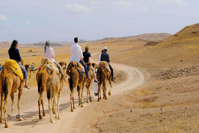 Agafay Desert Pack FULL : QUAD & CAMELS RIDE and Dinner AGAFAY - Pricing and Reservations