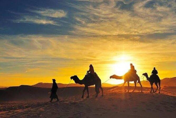 Agafay Desert Sunset Camel Ride With Dinner in Camp - Additional Information