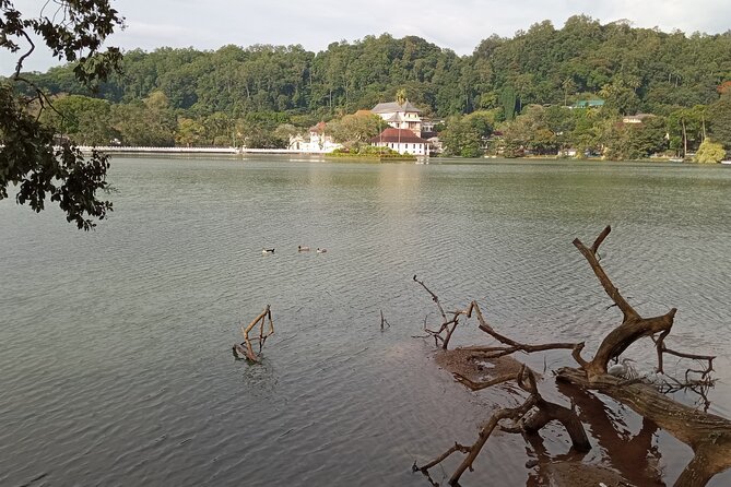 Airport to Dambulla Sigiriya and Kandy 2 Days Tour