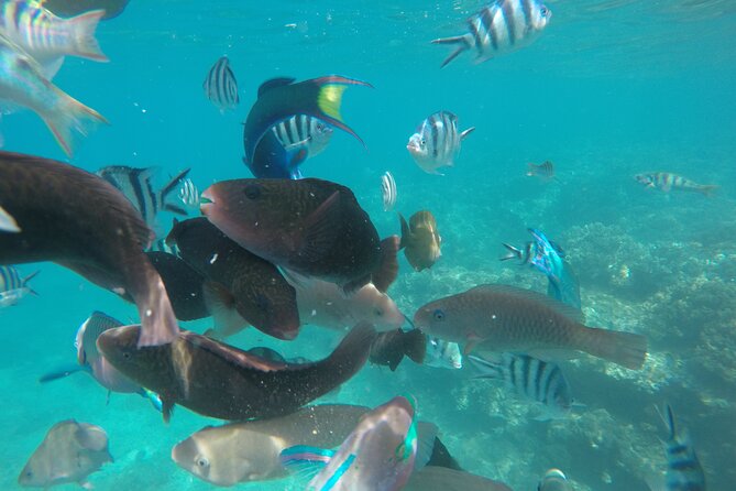All Inclusive Bali Snorkeling Blue Lagoon With Gate Heaven - Pickup Locations
