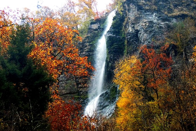 All-Inclusive.Tour to Georgia for 4 Days: Borjomi, Akhaltsikhe, Vardzia - Transportation Services