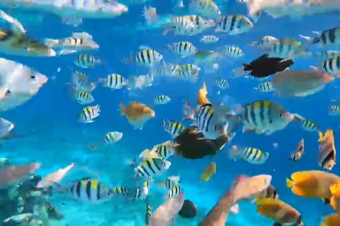 All Inclusive:Bali to Gili Islands | Snorkeling + Transfers + Stay-3Days/2Nights - Pricing and Booking Information