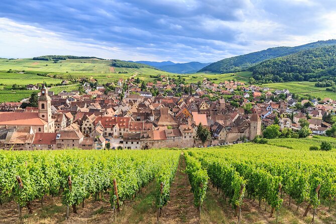 Alsace Wine Odyssey: Full-Day Private Tour From Strasbourg - Booking and Pricing Information