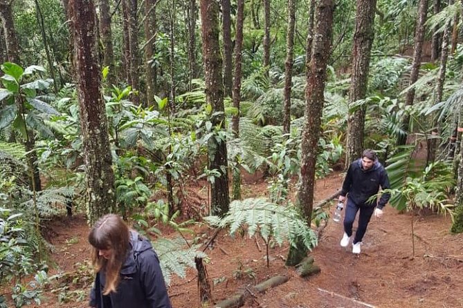 Amazing Arvi Natural Reserve Private Tour - Pickup Information