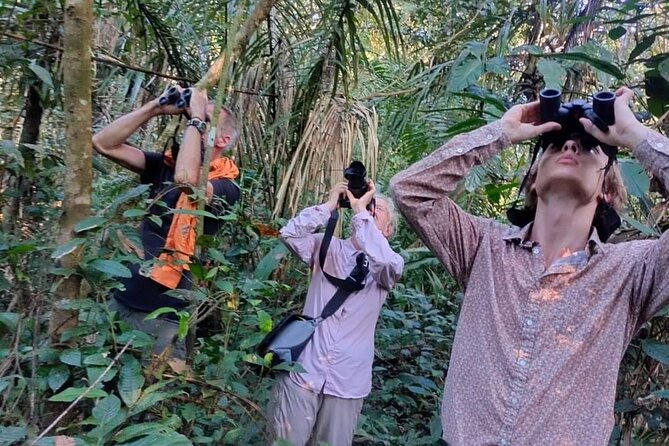 Amazon Adventure 4 Days 3 Nights - What to Expect on Your Trip