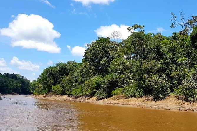 Amazon Discovery 4 Days and 3 Nights Pacaya-Samiria Reserve - Activities and Adventures