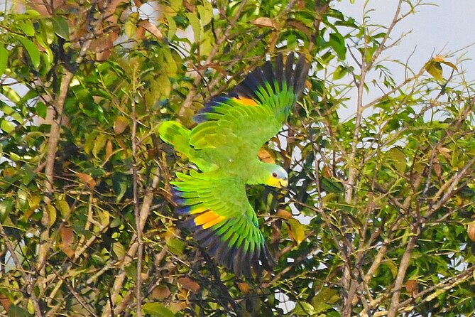 Amazon River Cruise Trip Explore 5D/4N - Pickup Information