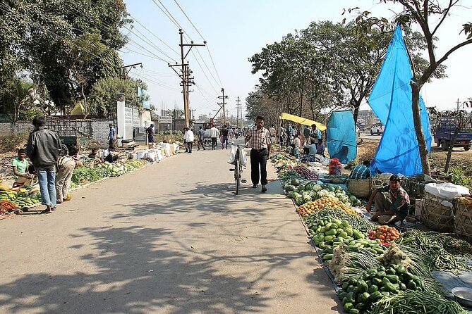 An Early Morning Glimpse of Life In Jaipur - City Tour Highlights