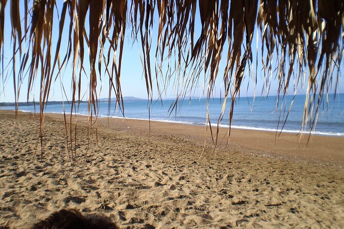 Ancient Olympia & Kourouta Beach - All Included Tour - Participant Information