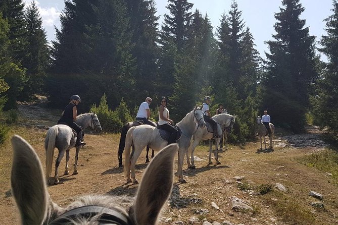 Ancient Roman Horseback Riding Experience - Inclusions Provided