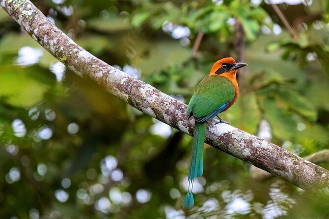 Andean Wonders: 6 Days of Culture, Nature, and Beauty - Cultural Experiences