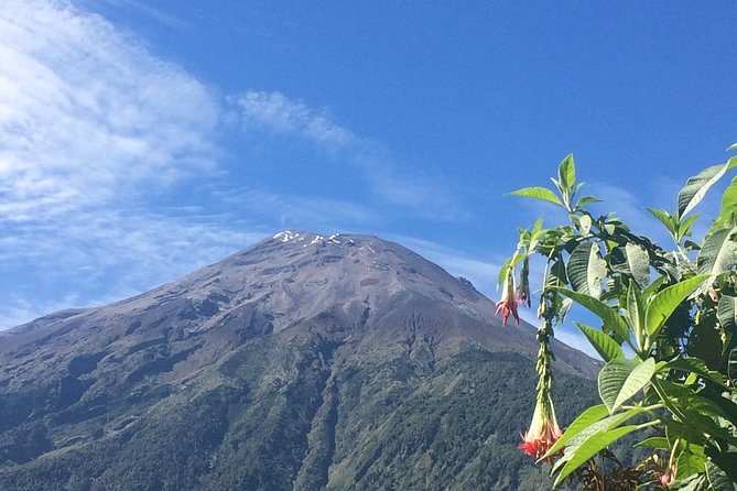 Andes & Amazon, the Triangle Route 4 Days / 3 Nights (Private Trip From Quito) - Accommodation Information
