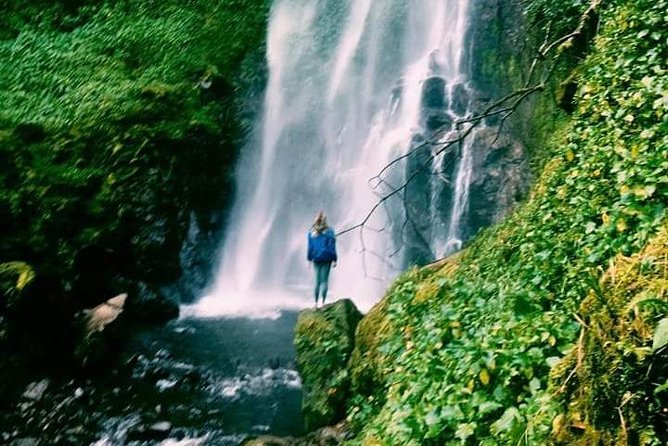Angel Falls Trek and Sanctuary of the Guácharos - How to Book