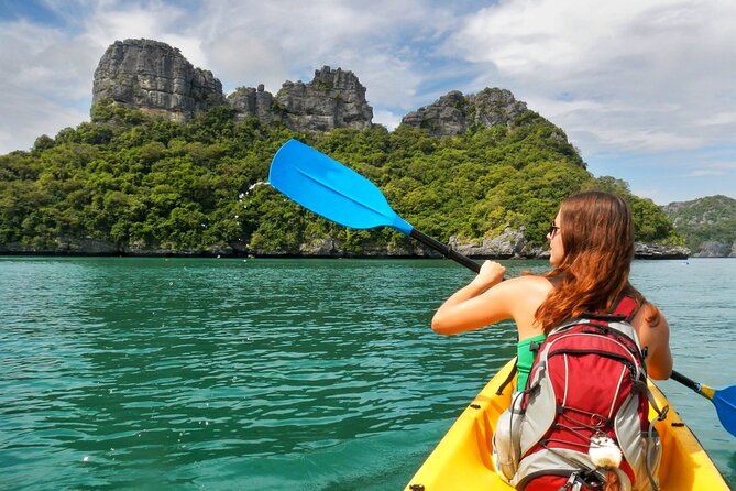 Angthong Marine Park Full-Day Speed Boat VIP Tour - Marine Park Entrance Fee