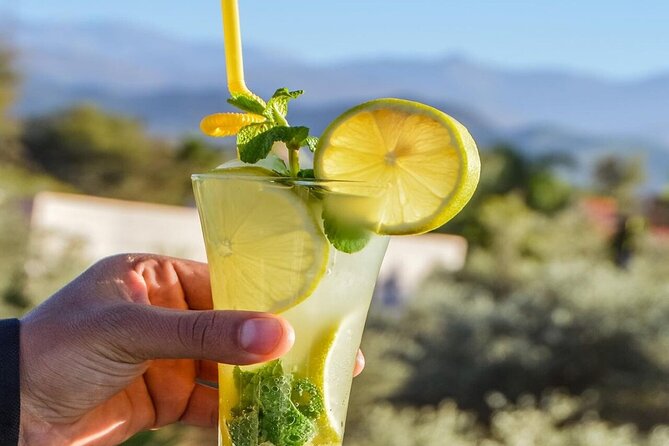 Anima Garden & Ourika Valley and Berber Villages Day Trip - Tour Details