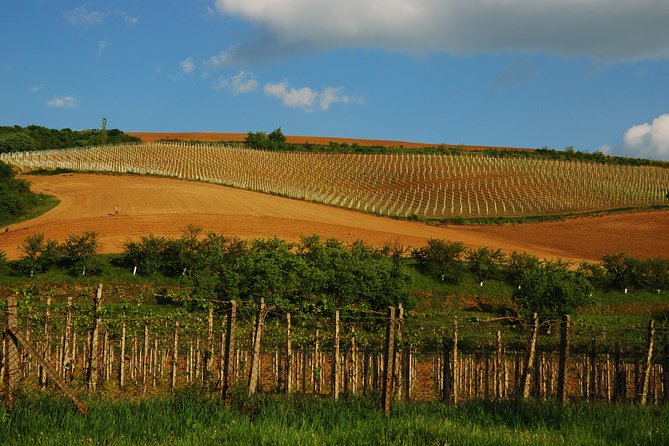 Antique Ruins, Mamaia Beach and Wine Tasting From Bucharest to Constanta - Inclusions and Exclusions