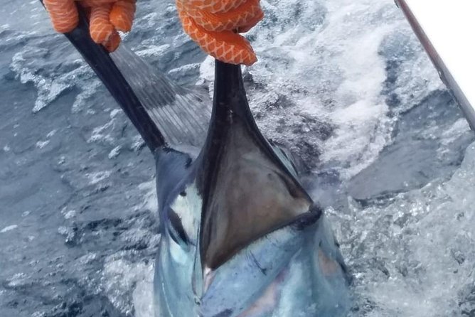 AquaQuepos Sport Fishing, 3/4 Day Offshore Fishing - Included Amenities