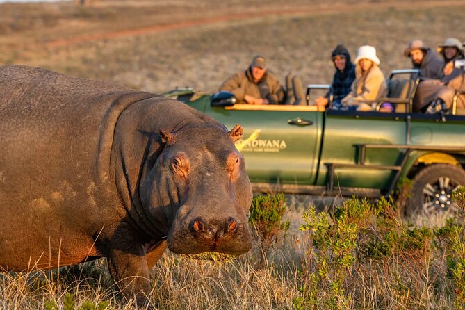 Aquila Safari Full Day Tour With Fairview Wine Tasting - Directions