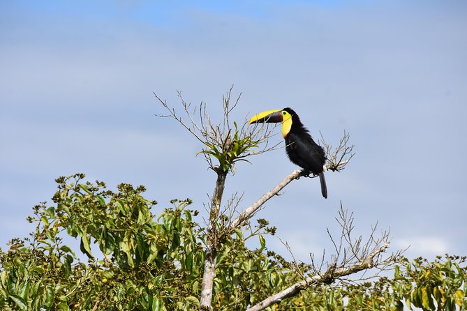 Arenal Rafting and Volcano Hike - Whats Included in the Tour